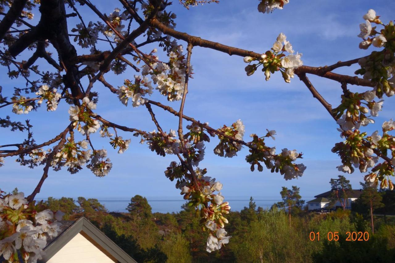 Risor Bed & Breakfast, Randvik Strand Exterior foto